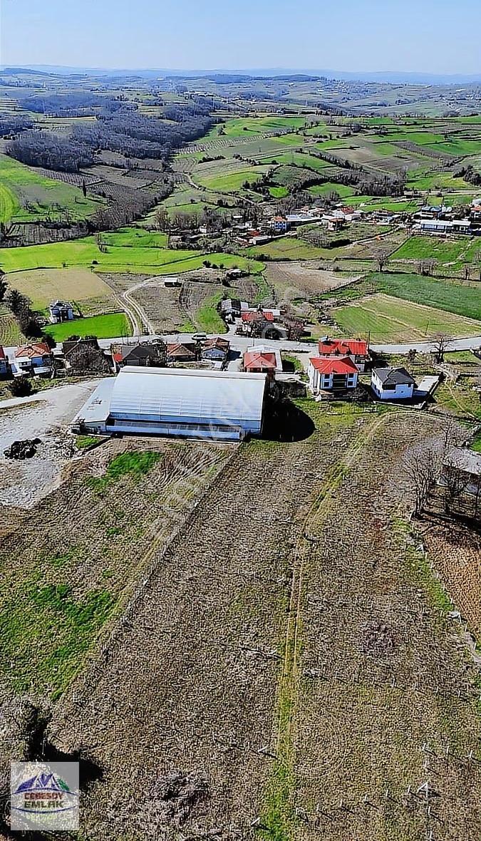 Cebesoy Emlak'tan Kertil Mahallesinde Satılık Havadar Arsa ! - Görsel 8