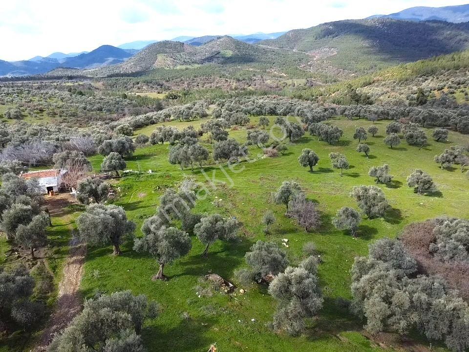 İzmir Bayındır Alanköy De Hayatınızın En Büyük Fırsatı 22.881m2 - Görsel 13