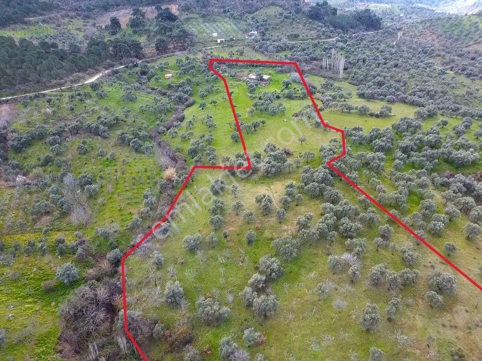İzmir Bayındır Alanköy De Hayatınızın En Büyük Fırsatı 22.881m2 - Görsel 15