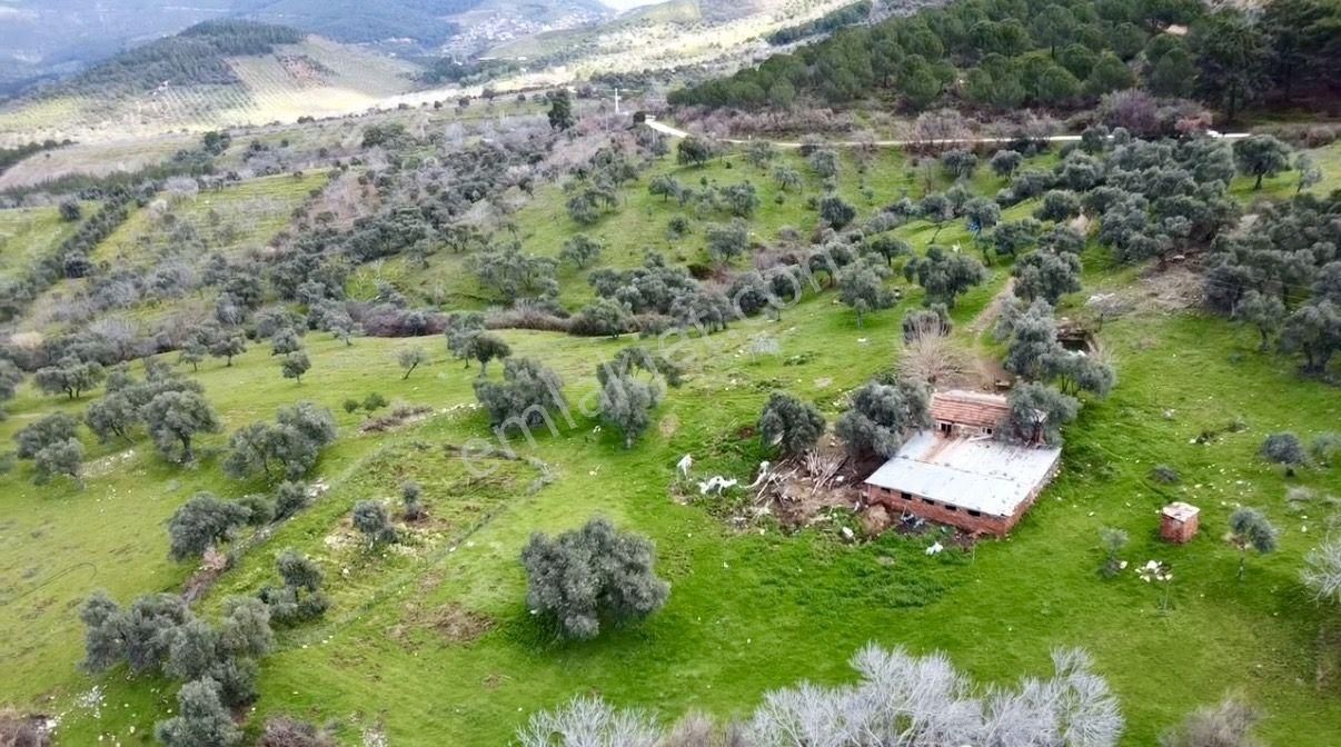 İzmir Bayındır Alanköy De Hayatınızın En Büyük Fırsatı 22.881m2 - Görsel 4