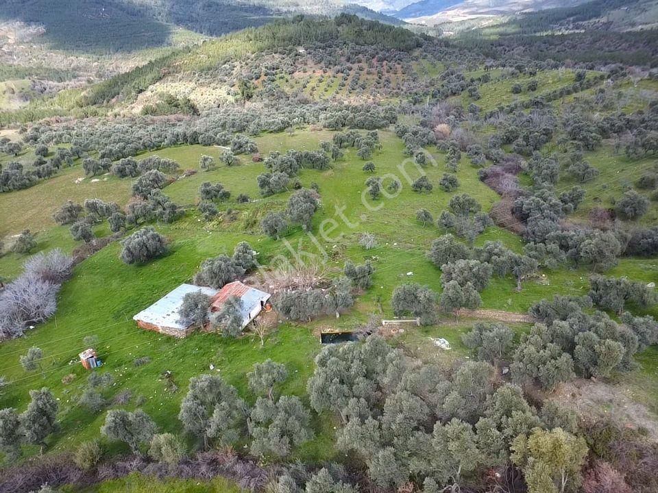İzmir Bayındır Alanköy De Hayatınızın En Büyük Fırsatı 22.881m2 - Görsel 6