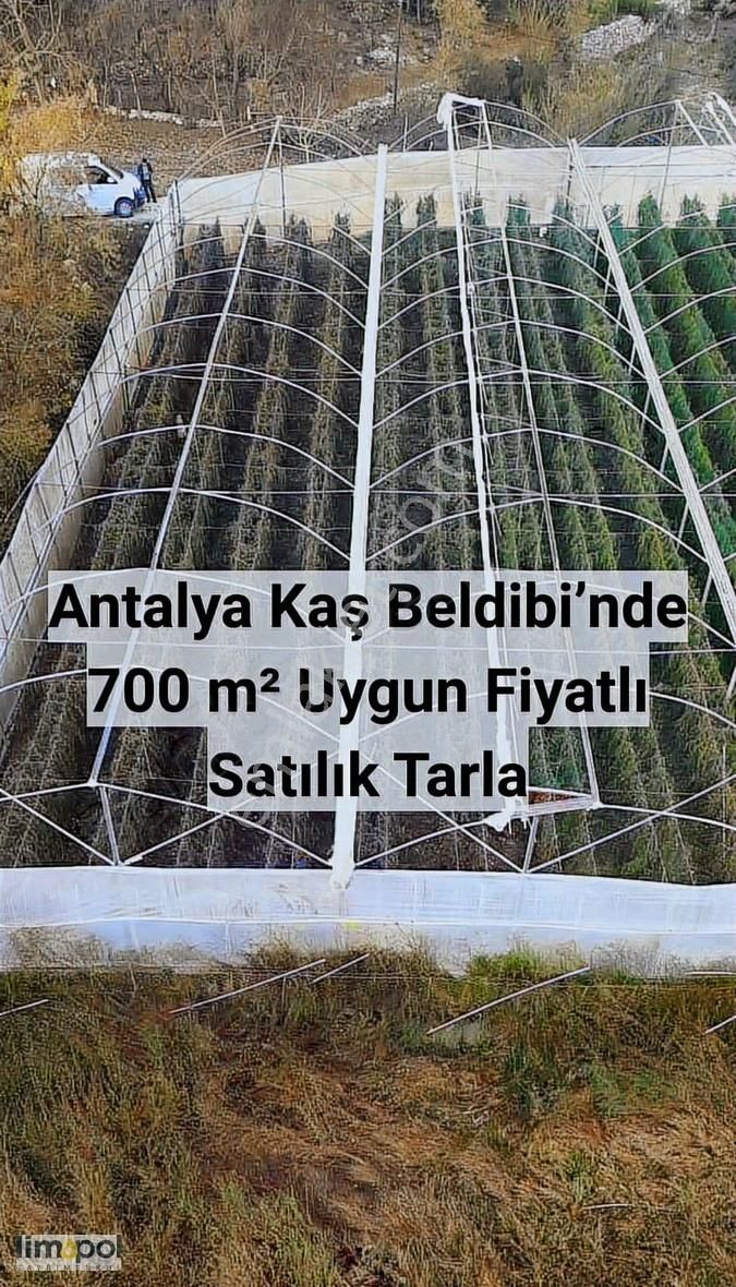 Limopol'den Yatırımcıya Uygun- Kaş Beldibi 703 M² Tarla - Görsel 2