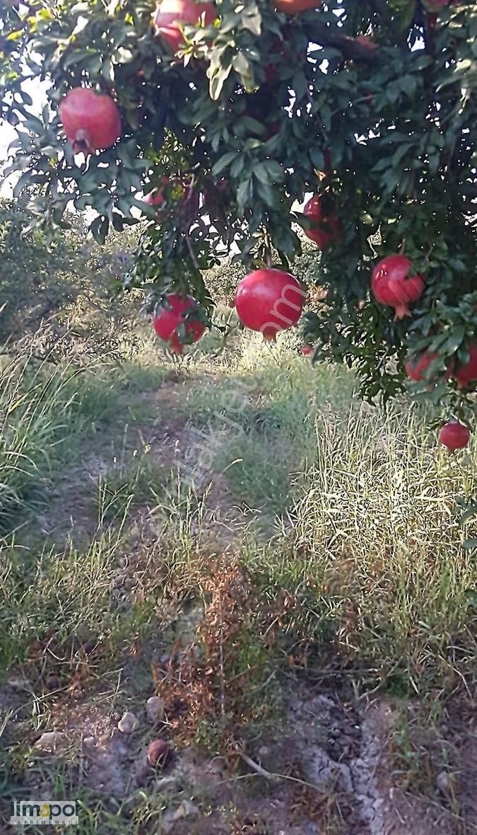 Limopol'den Saklıkent Yolu Üzeri 6.734 M² Satılık Tarla - Görsel 3