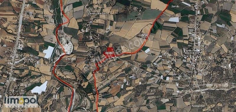 Limopolden Seydikemer Çamurköy Asfalta Sıfır Verimli Nar Bahçesi - Görsel 2