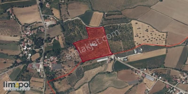 Limopolden Seydikemer Çamurköy Asfalta Sıfır Verimli Nar Bahçesi - Görsel 3