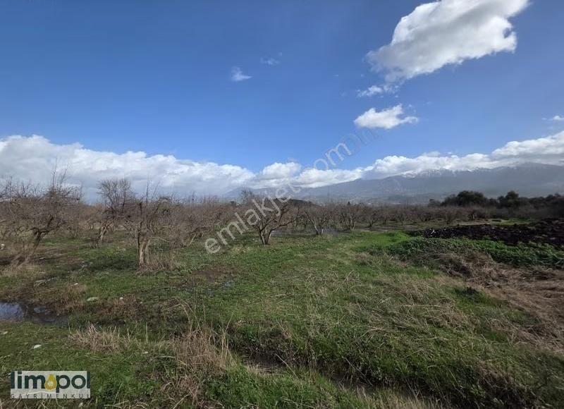 Limopolden Seydikemer Çamurköy Asfalta Sıfır Verimli Nar Bahçesi