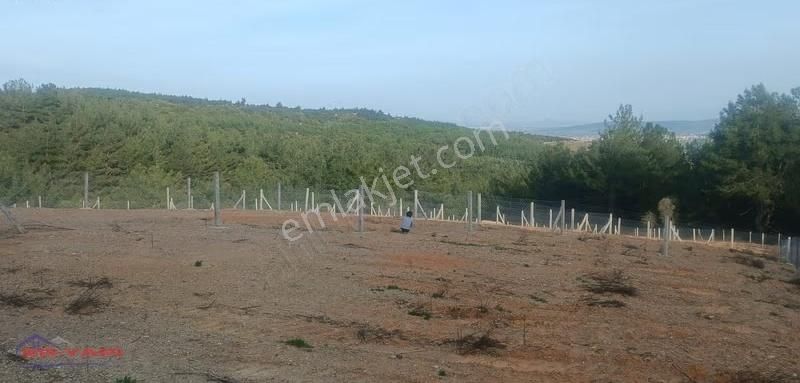 Menderes Çatalca'da Satılık Hisse Tapu Tarla - Görsel 4