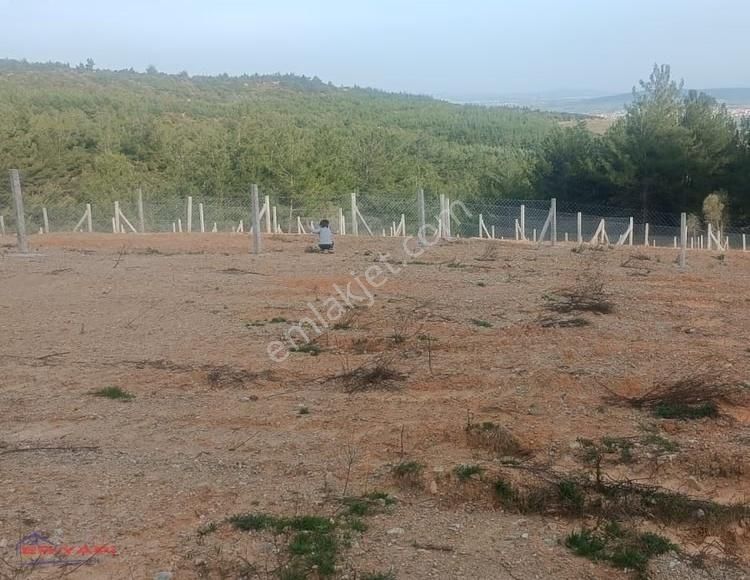 Menderes Çatalca'da Satılık Hisse Tapu Tarla