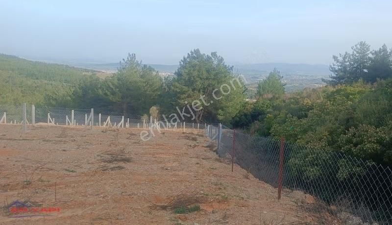 Menderes Çatalca'da Satılık Hisse Tapu Tarla - Görsel 5