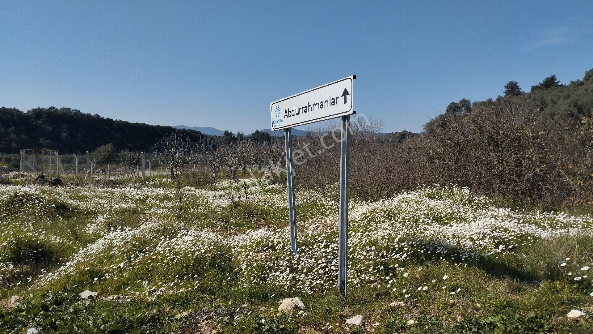 Müstakil Hobi Zeytin Bahçesi - Görsel 3