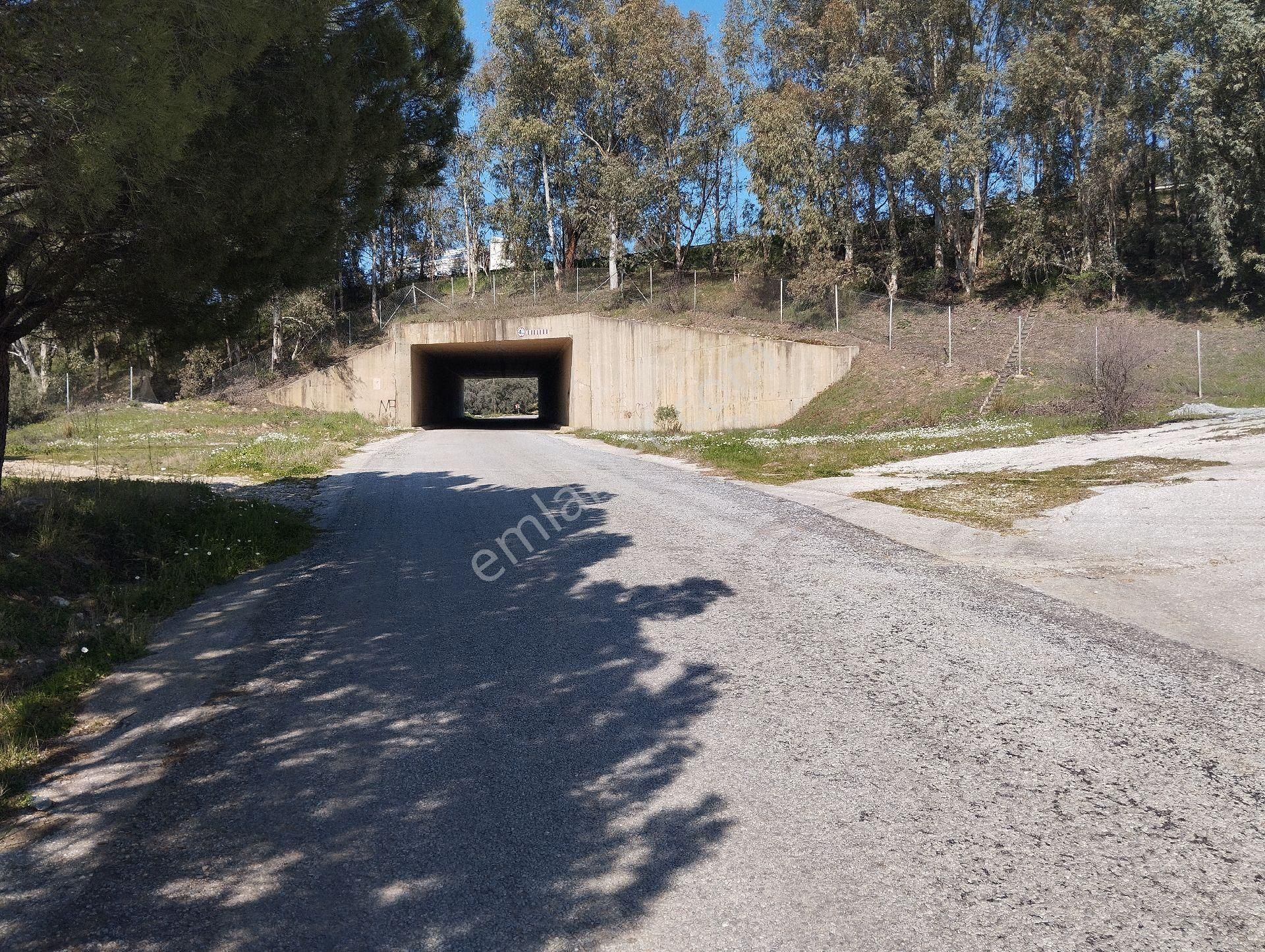 Müstakil Hobi Zeytin Bahçesi - Görsel 7