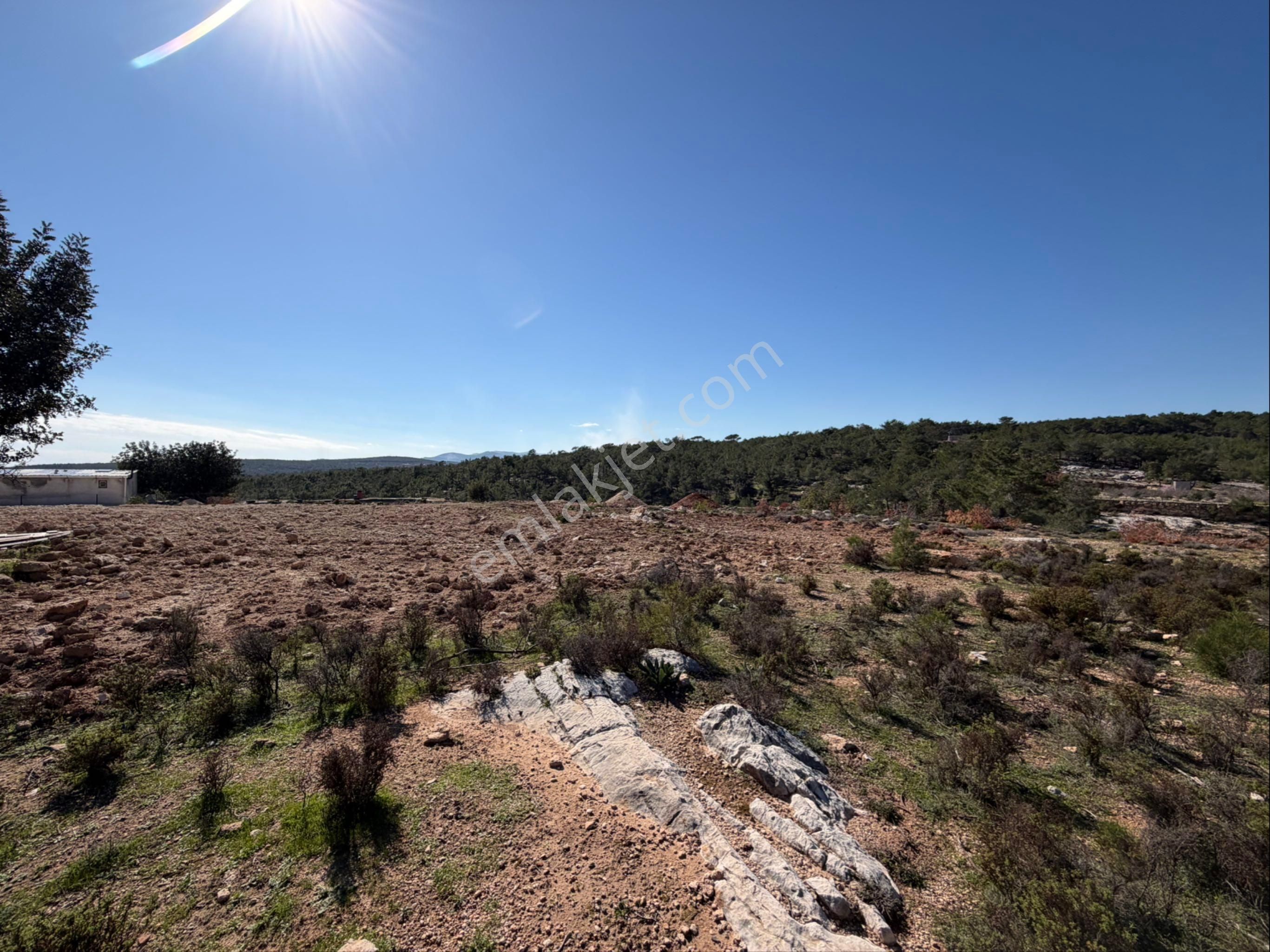 Türe Gayrimenkulden Silifke Organize Civarı Satılık Tarla Ve Ev İnşaatı - Görsel 32