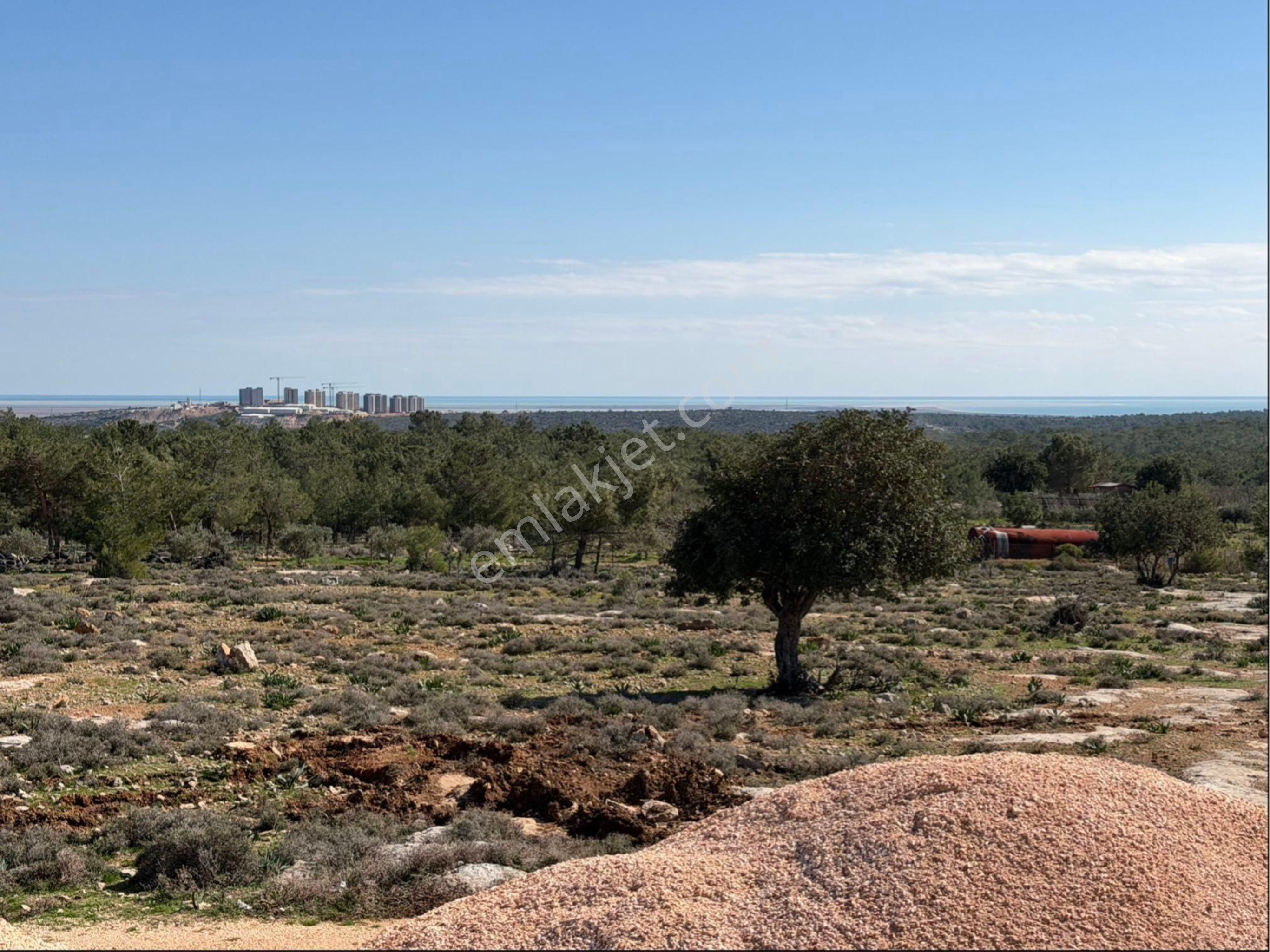 Türe Gayrimenkulden Silifke Organize Civarı Satılık Tarla Ve Ev İnşaatı - Görsel 3