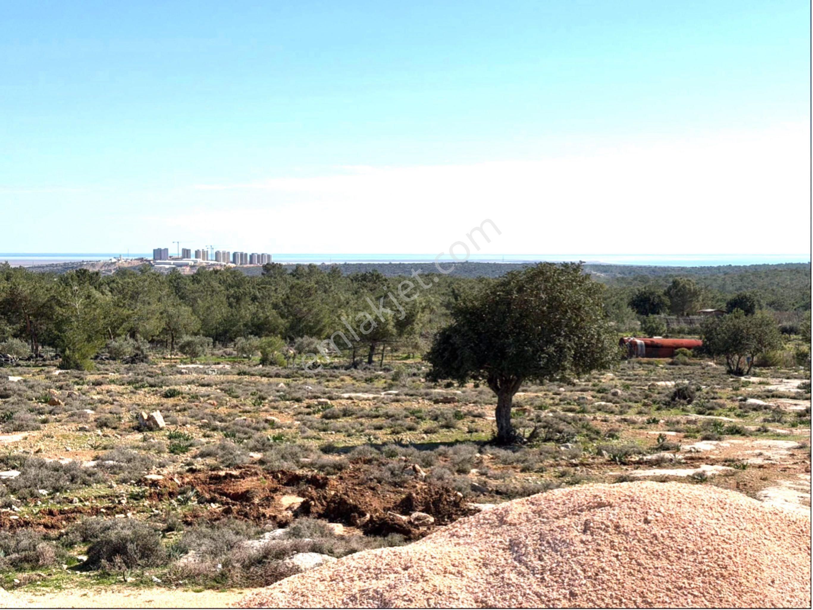 Türe Gayrimenkulden Silifke Organize Civarı Satılık Tarla Ve Ev İnşaatı - Görsel 6