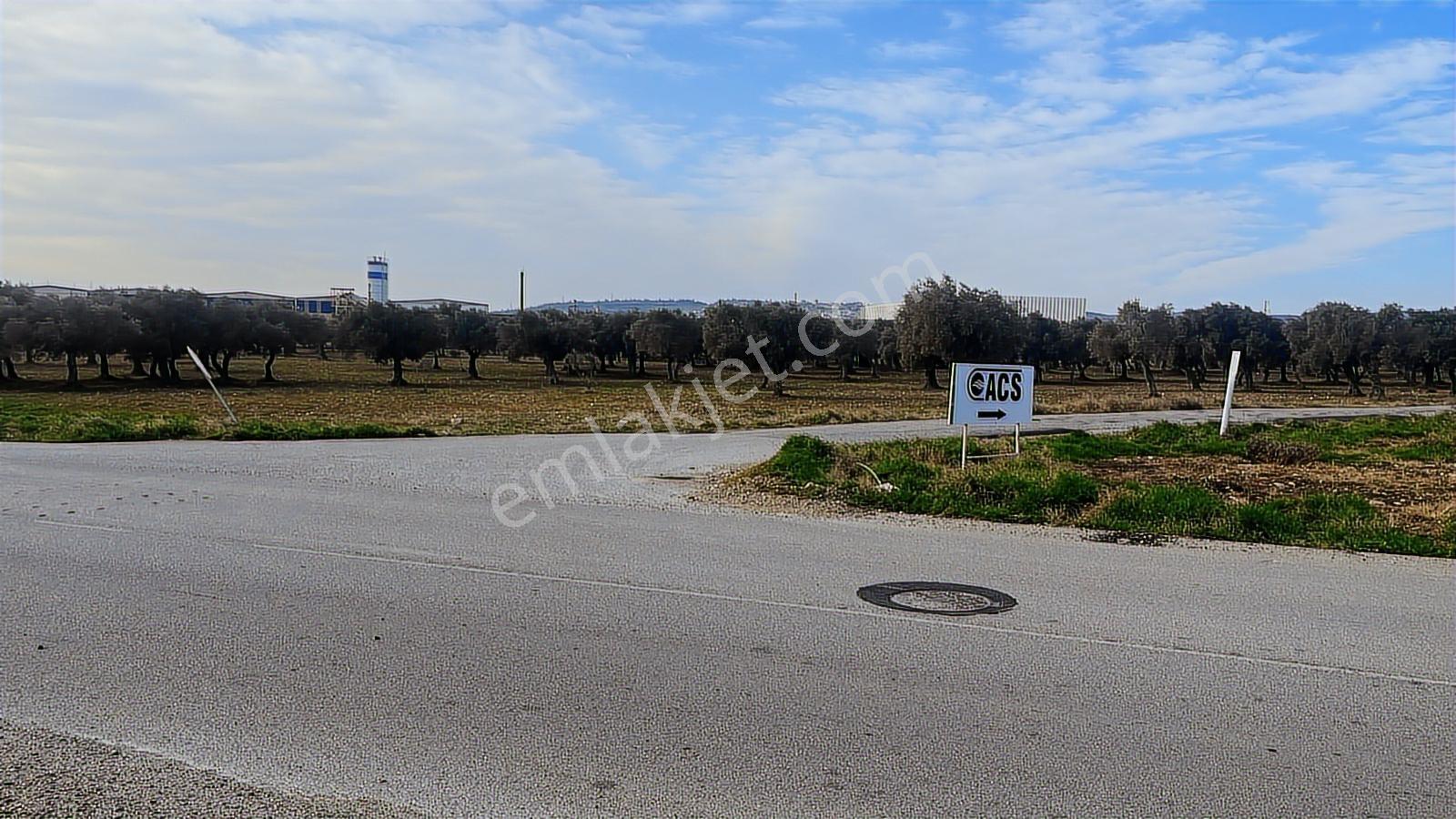Torbalı Turyaptan Gazi Mustafa Kemal Mah 8274 M2 Bağ Bahçe Tarla - Görsel 23