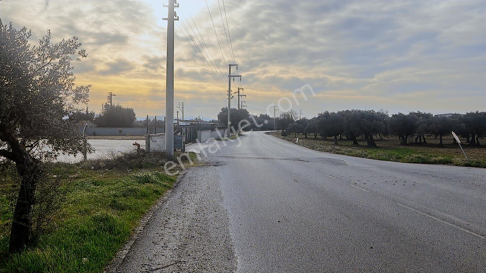 Torbalı Turyaptan Gazi Mustafa Kemal Mah 8274 M2 Bağ Bahçe Tarla - Görsel 2