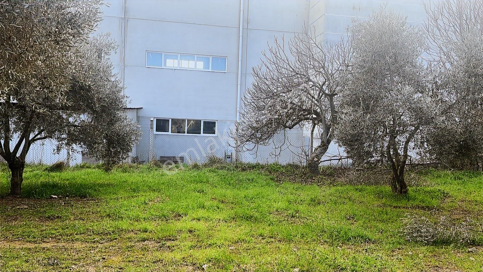 Torbalı Turyaptan Gazi Mustafa Kemal Mah 8274 M2 Bağ Bahçe Tarla - Görsel 5