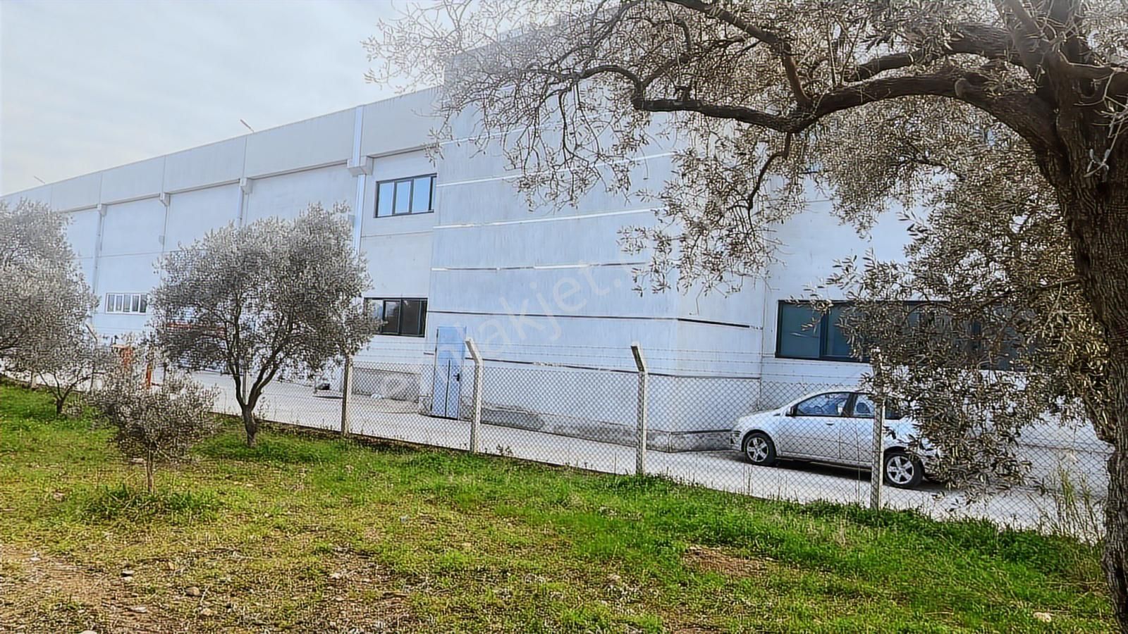 Torbalı Turyaptan Gazi Mustafa Kemal Mah 8274 M2 Bağ Bahçe Tarla - Görsel 7