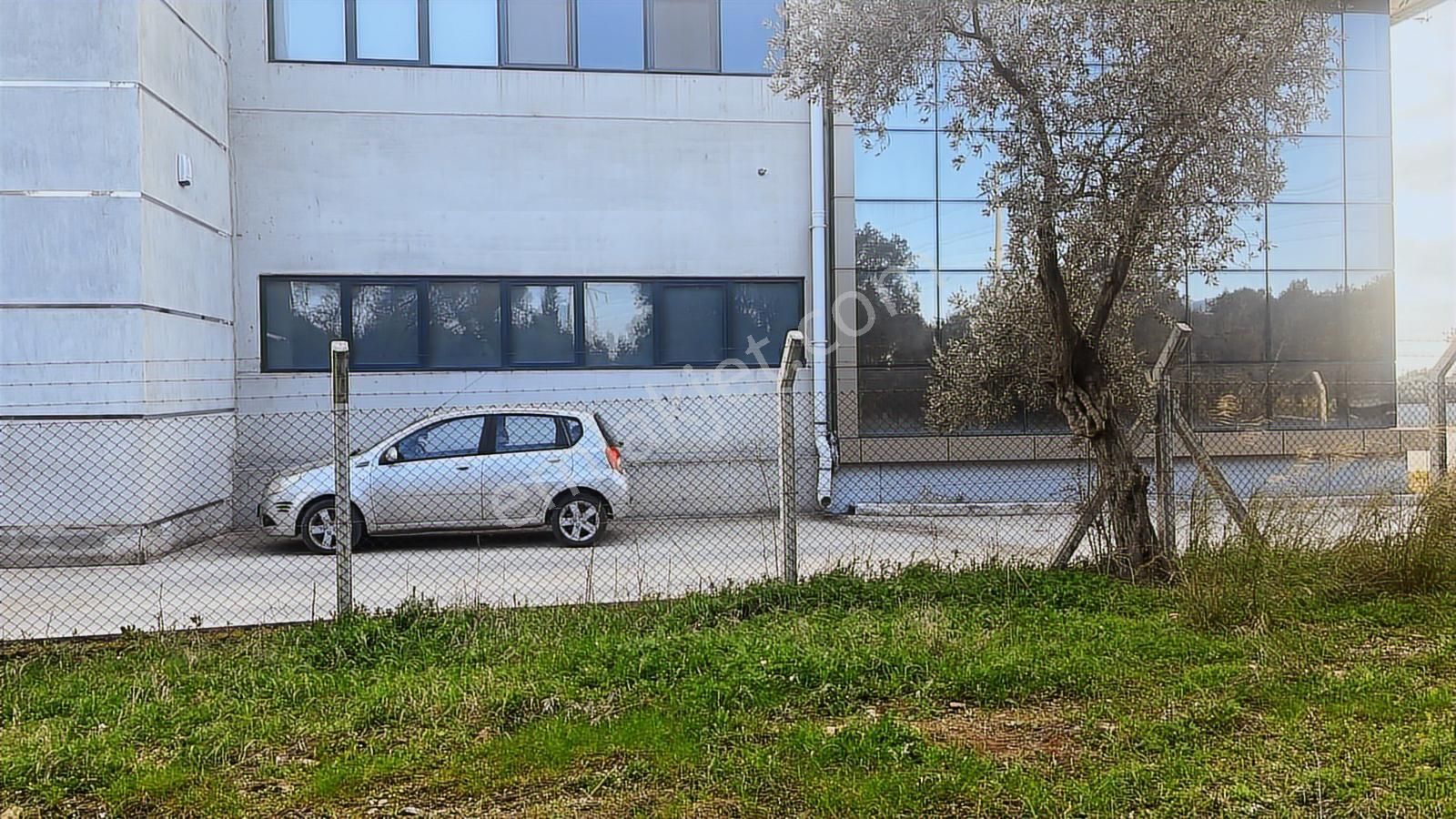 Torbalı Turyaptan Gazi Mustafa Kemal Mah 8274 M2 Bağ Bahçe Tarla