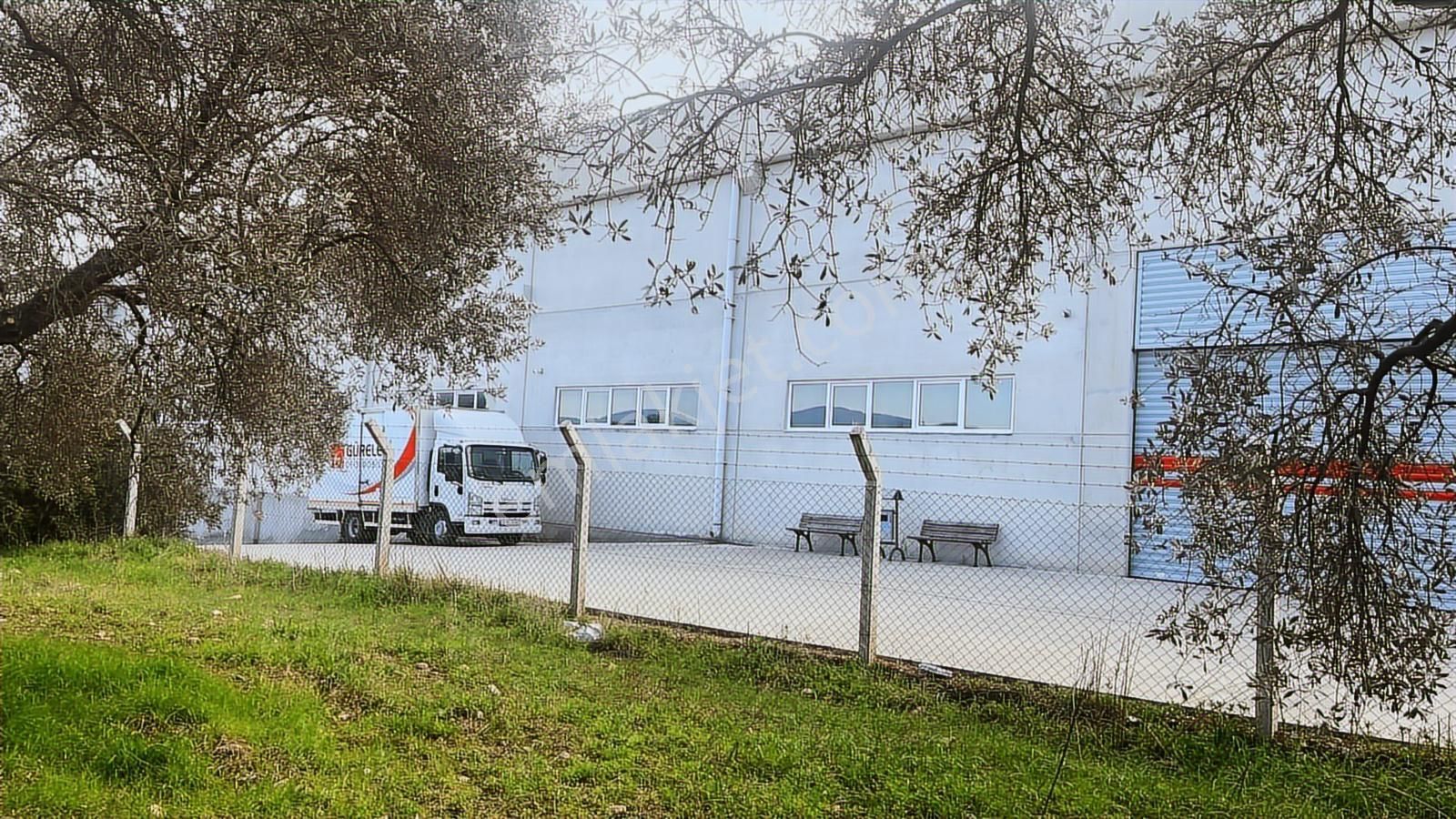 Torbalı Turyaptan Gazi Mustafa Kemal Mah 8274 M2 Bağ Bahçe Tarla - Görsel 19