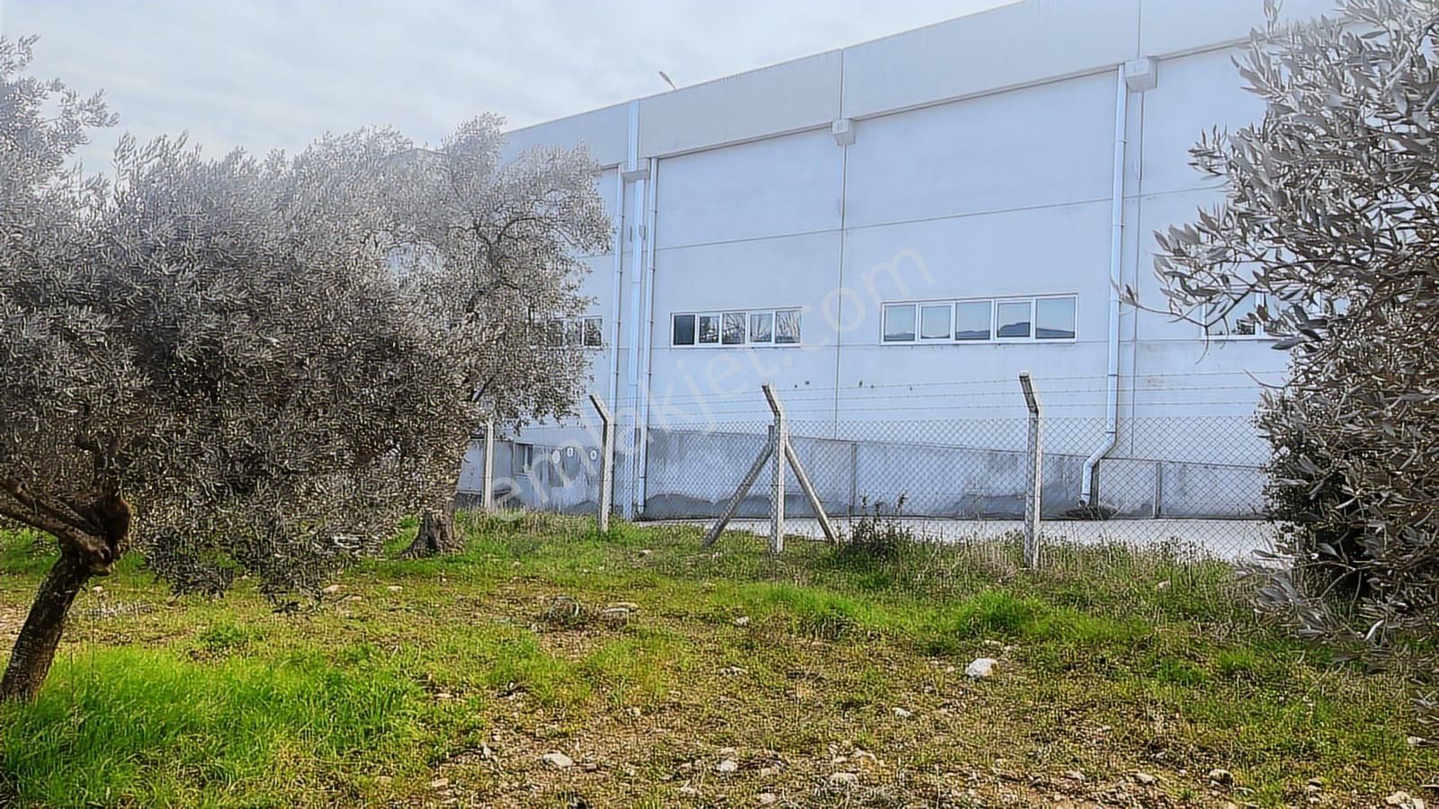 Torbalı Turyaptan Gazi Mustafa Kemal Mah 8274 M2 Bağ Bahçe Tarla - Görsel 16