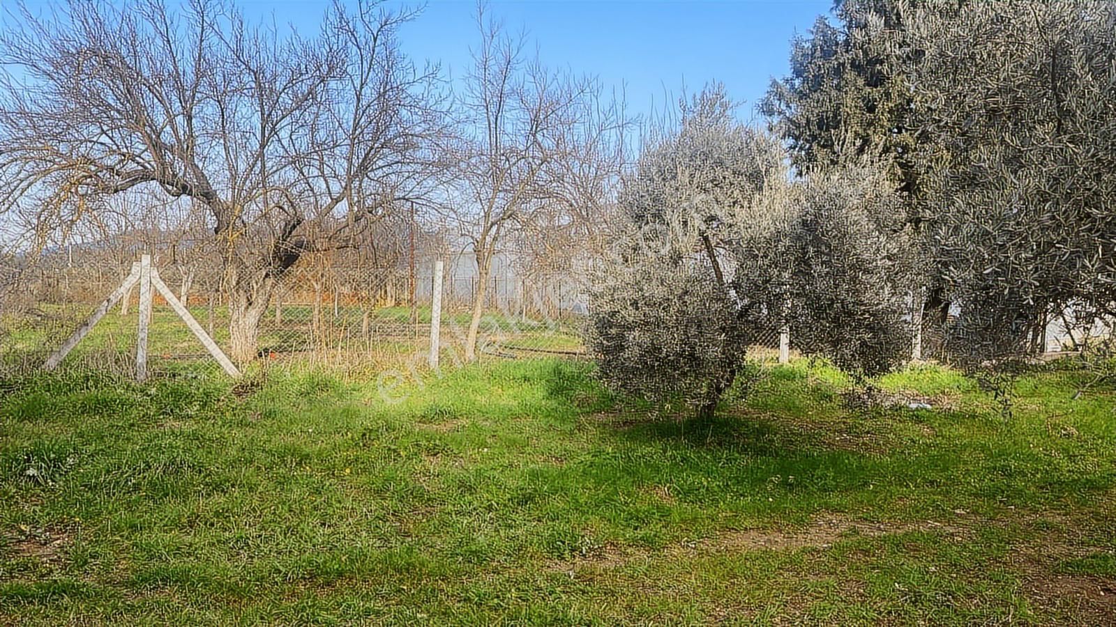 Torbalı Turyaptan Gazi Mustafa Kemal Mah 8274 M2 Bağ Bahçe Tarla - Görsel 27