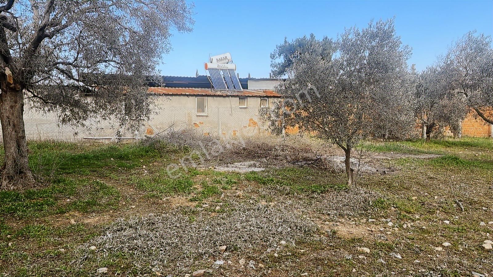 Torbalı Turyaptan Gazi Mustafa Kemal Mah 8274 M2 Bağ Bahçe Tarla - Görsel 14