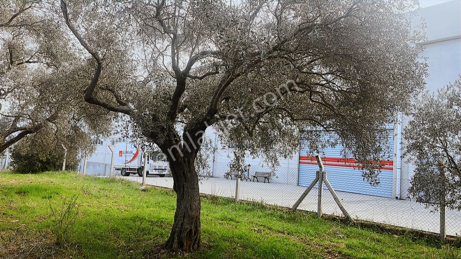 Torbalı Turyaptan Gazi Mustafa Kemal Mah 8274 M2 Bağ Bahçe Tarla - Görsel 13