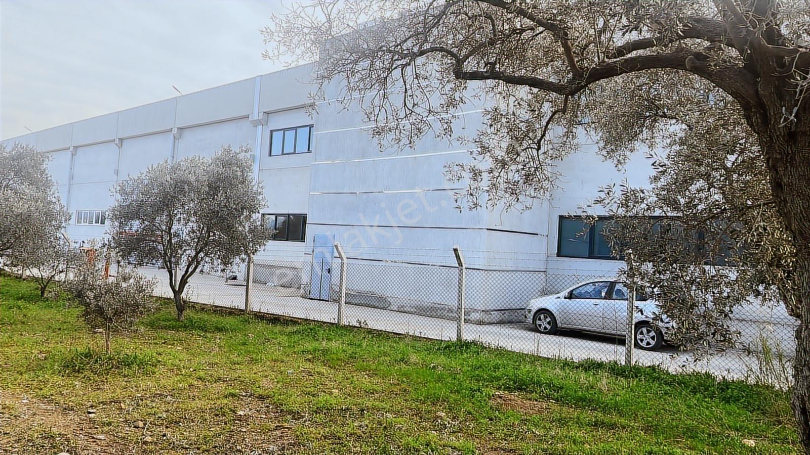 Torbalı Turyaptan Gazi Mustafa Kemal Mah 8274 M2 Bağ Bahçe Tarla - Görsel 30