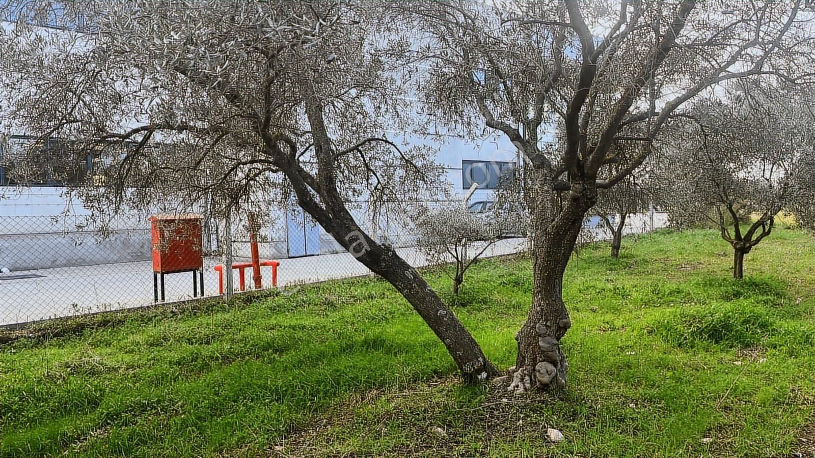 Torbalı Turyaptan Gazi Mustafa Kemal Mah 8274 M2 Bağ Bahçe Tarla - Görsel 33
