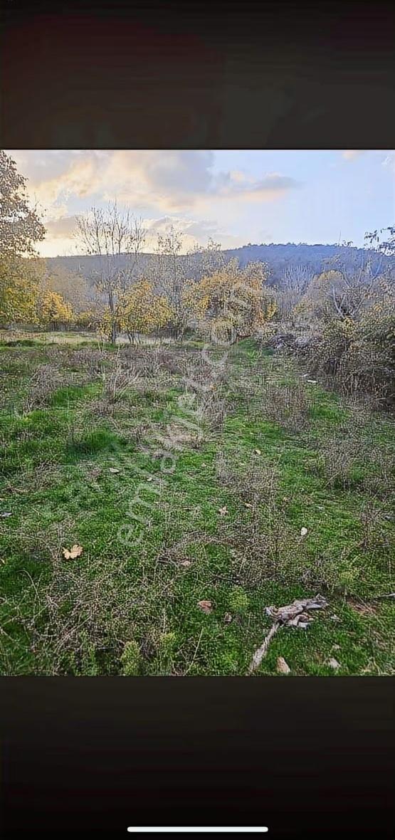 Banaz Kuşdemir Köyünde 610m2 İmar İçi Arsa - Görsel 9