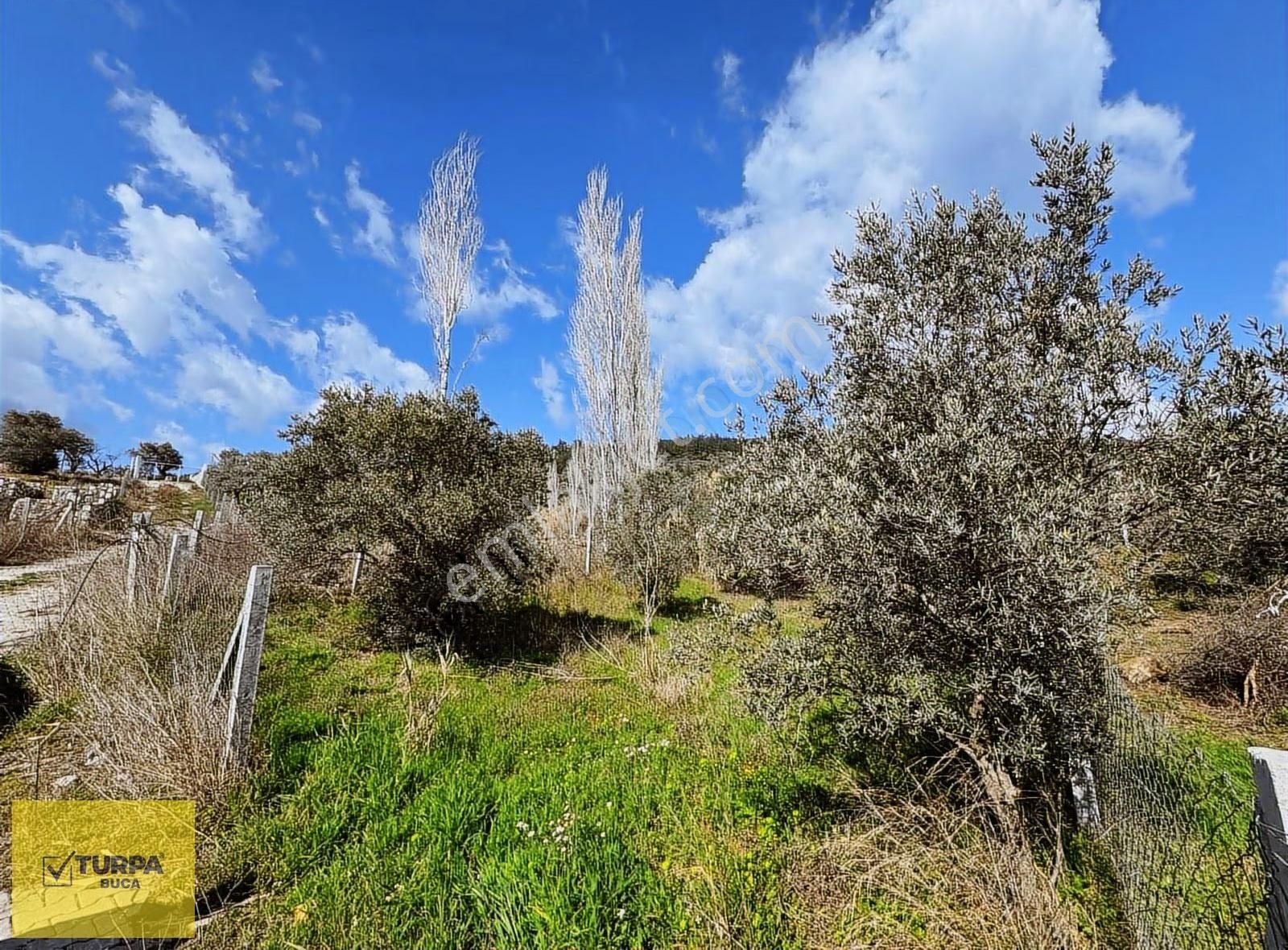 Turpa Buca'dan Çakırbeyliğinde 300 M² Tapulu Yer - Görsel 3
