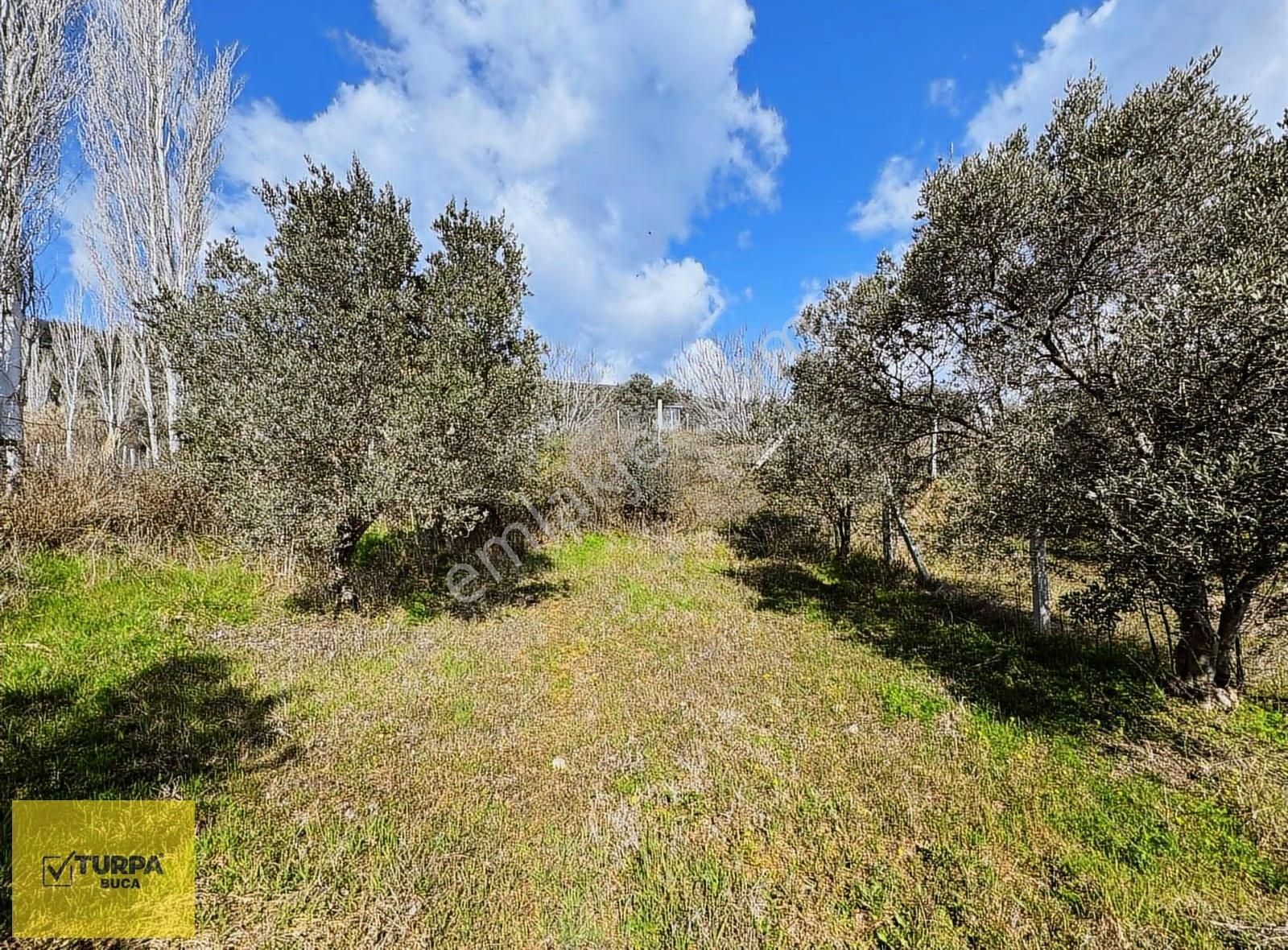 Turpa Buca'dan Çakırbeyliğinde 300 M² Tapulu Yer - Görsel 8