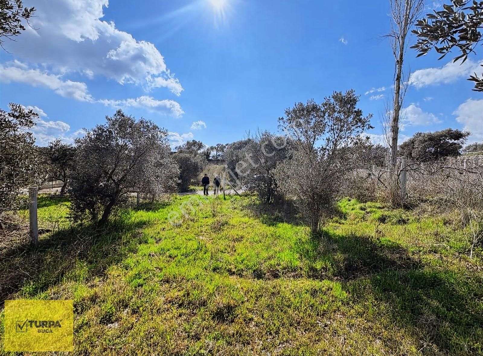 Turpa Buca'dan Çakırbeyliğinde 300 M² Tapulu Yer - Görsel 7