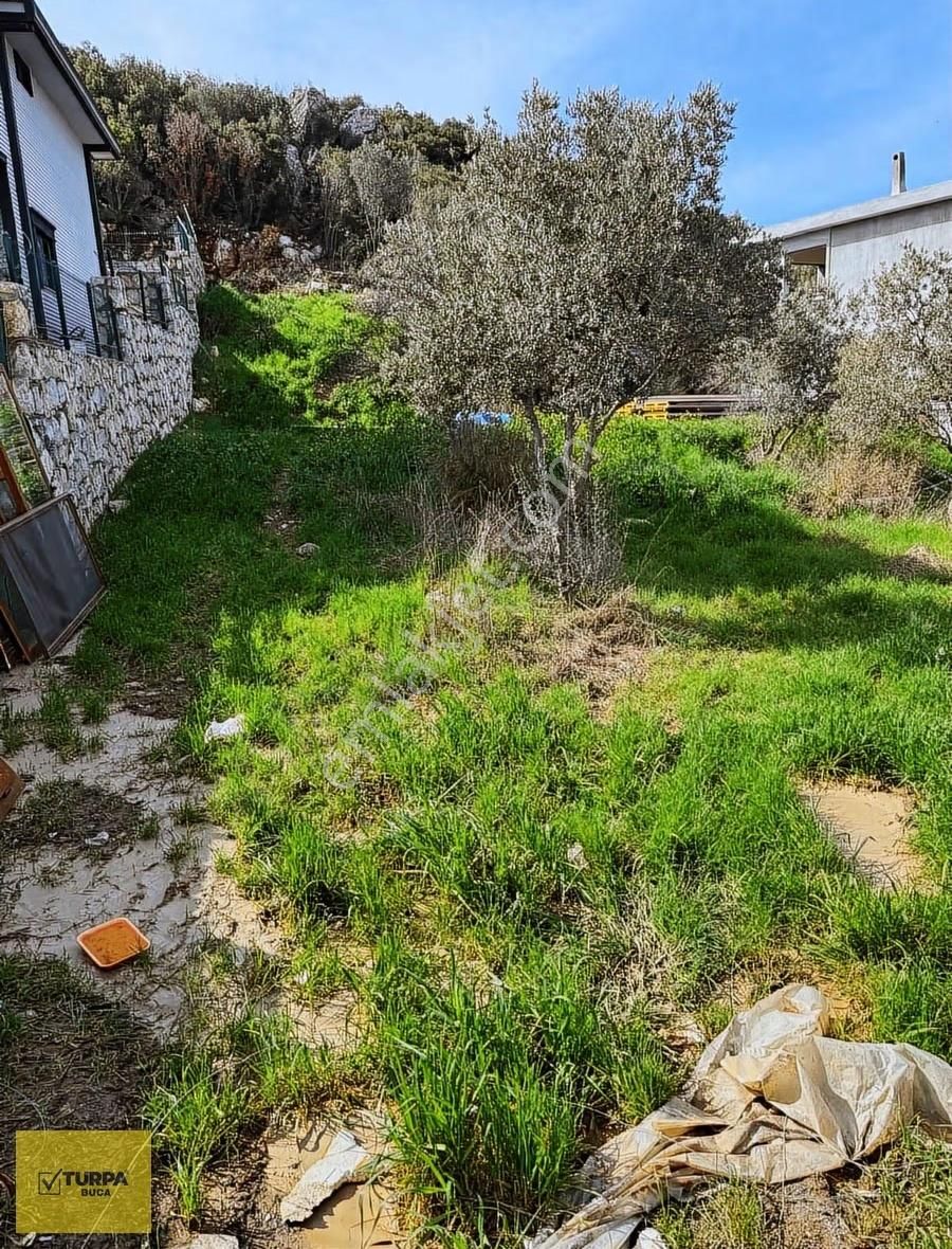 Turpa Buca'dan Kaynaklarda Site İçerisinde Hisse Tapulu Tarla - Görsel 3