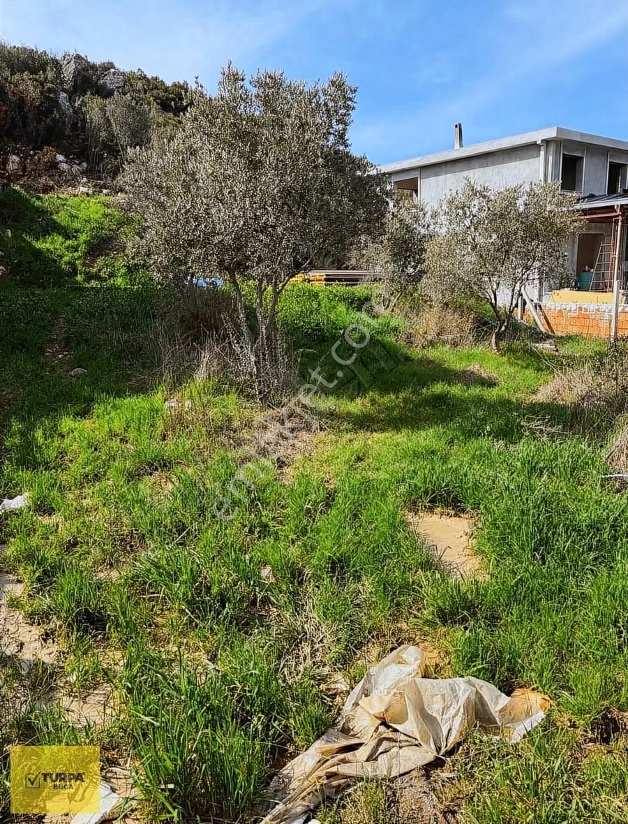 Turpa Buca'dan Kaynaklarda Site İçerisinde Hisse Tapulu Tarla - Görsel 12