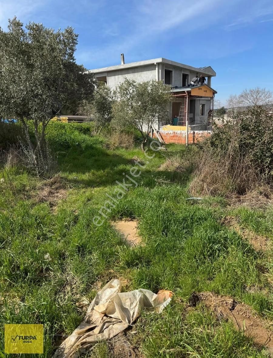 Turpa Buca'dan Kaynaklarda Site İçerisinde Hisse Tapulu Tarla - Görsel 4