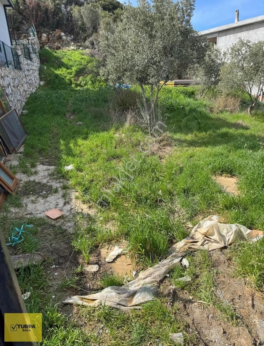 Turpa Buca'dan Kaynaklarda Site İçerisinde Hisse Tapulu Tarla - Görsel 11