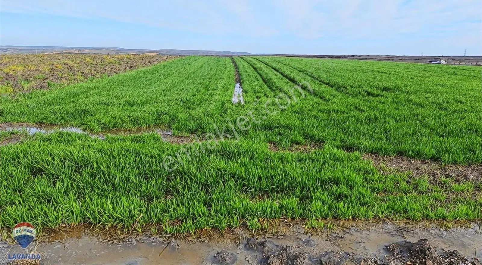 Remax Lavandadan Tekirdağ Muratlı Balabanlı Da Yatırımlık Tarla