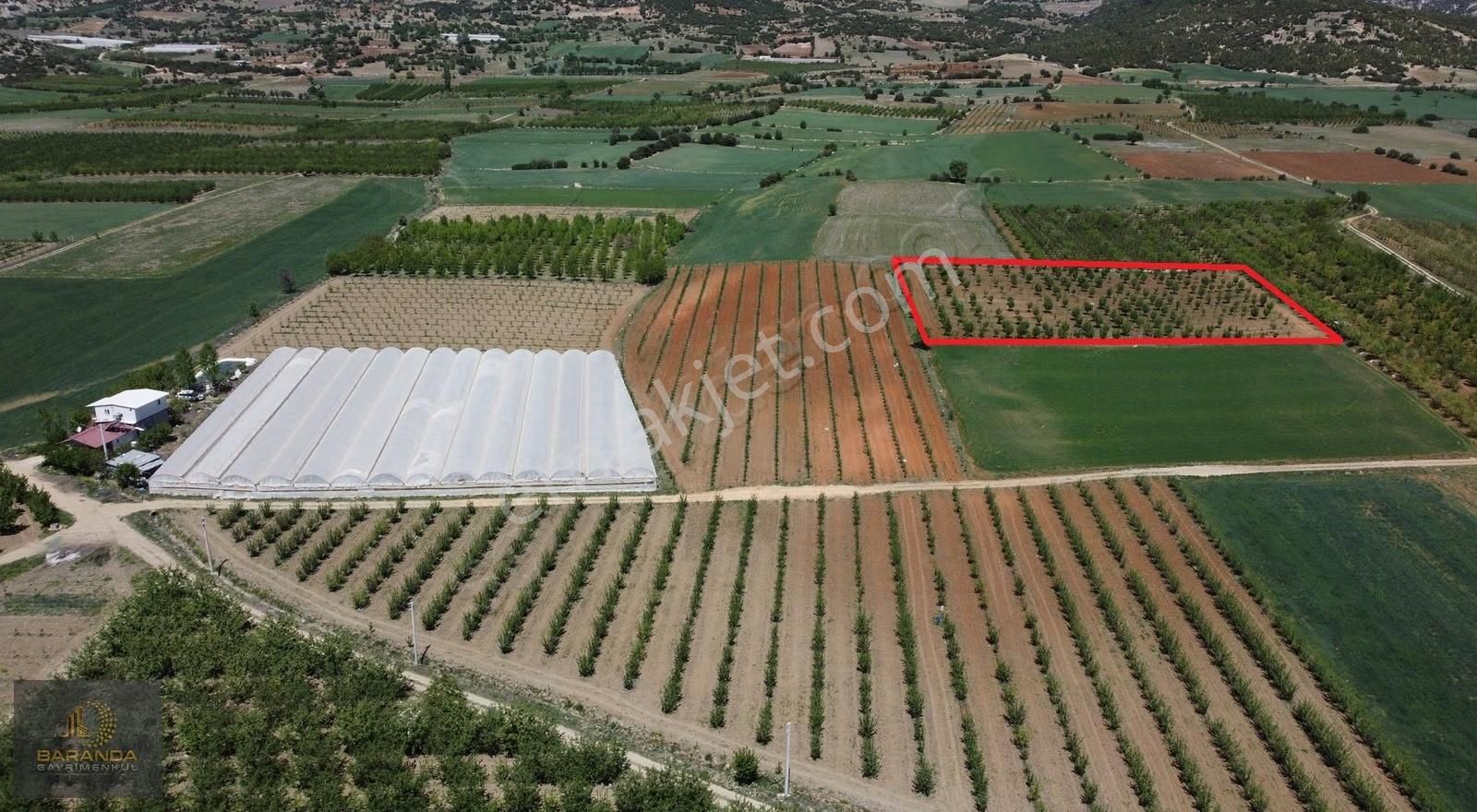 Akçay Mahallesi'nde Elektrik Ve Suyu Olan 7387m² Armut Bahçesi - Görsel 2