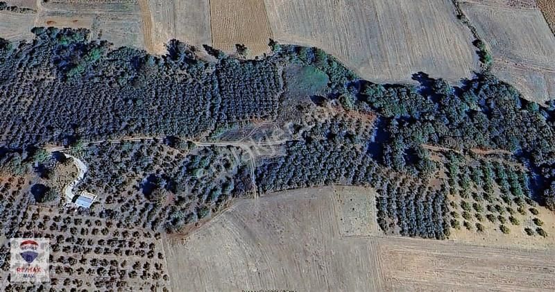 Re/max Mavi Güvencesiyle 707 M² Ana Yol Cepheli Arazi