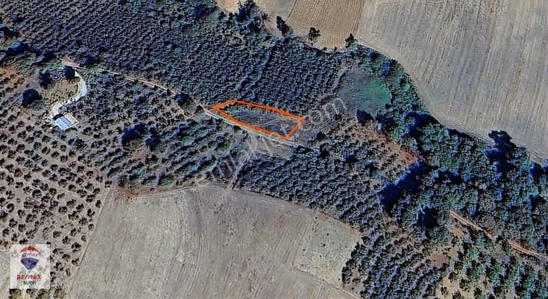 Re/max Mavi Güvencesiyle 707 M² Ana Yol Cepheli Arazi - Görsel 2