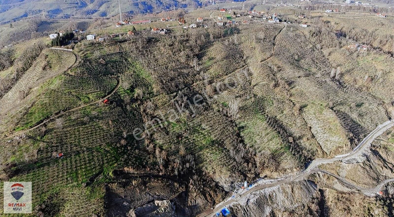 Remax Mavi Cengiz Özdemir'den 31.462 M² Arazi - Görsel 18