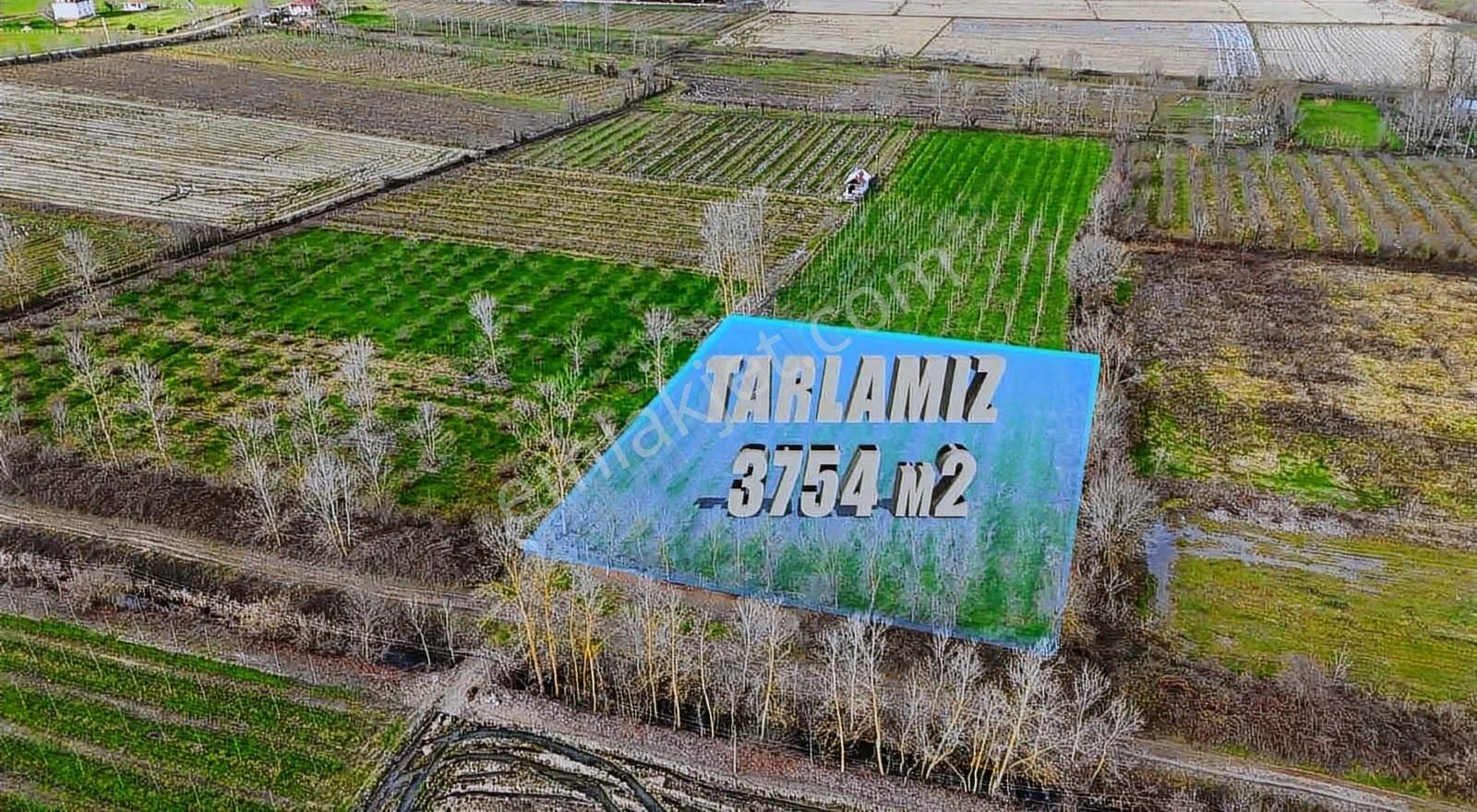 Öz-emmaxdan Terme İmanalisi Köyünde 3754 M2 Satılık Tarla