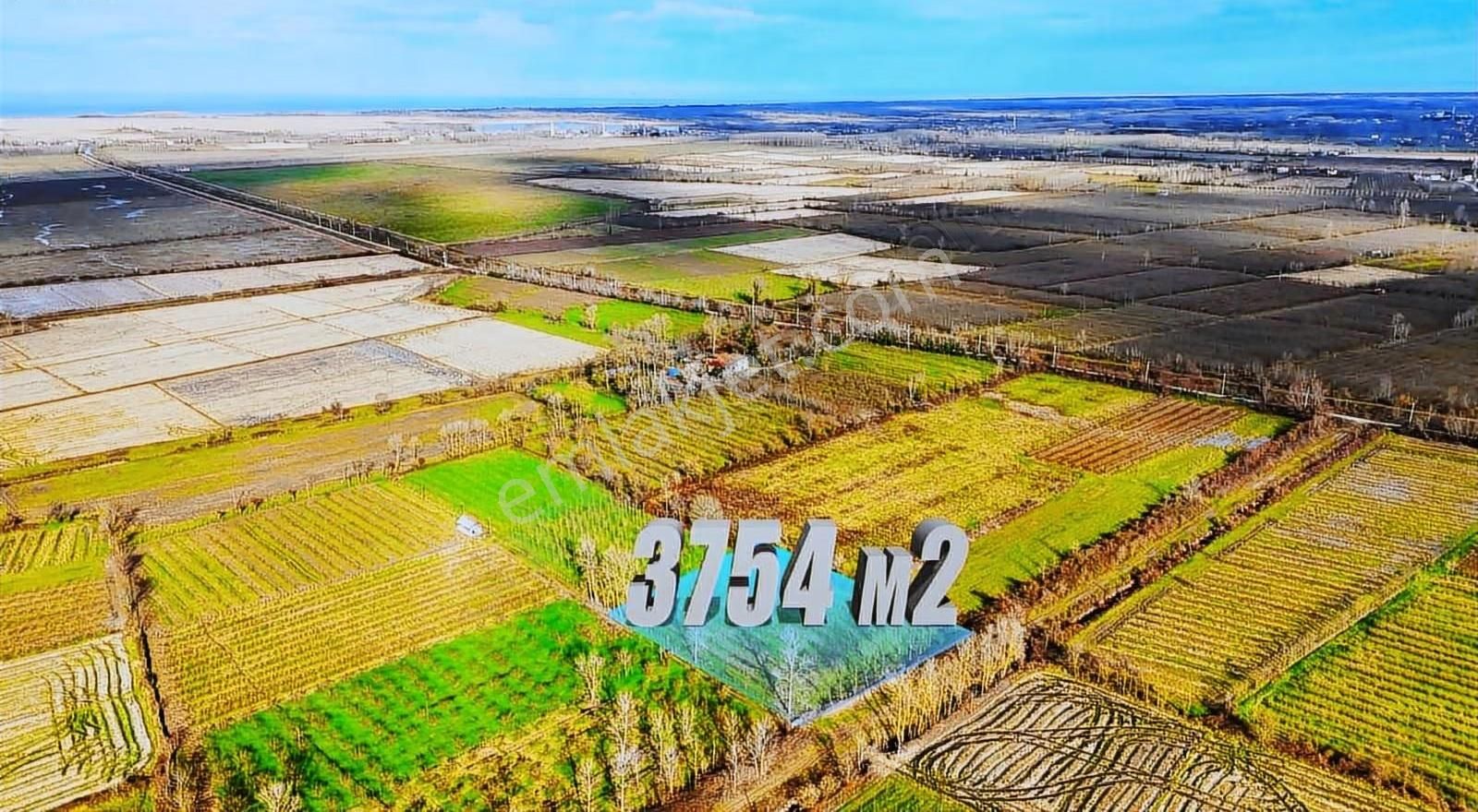 Öz-emmaxdan Terme İmanalisi Köyünde 3754 M2 Satılık Tarla - Görsel 2