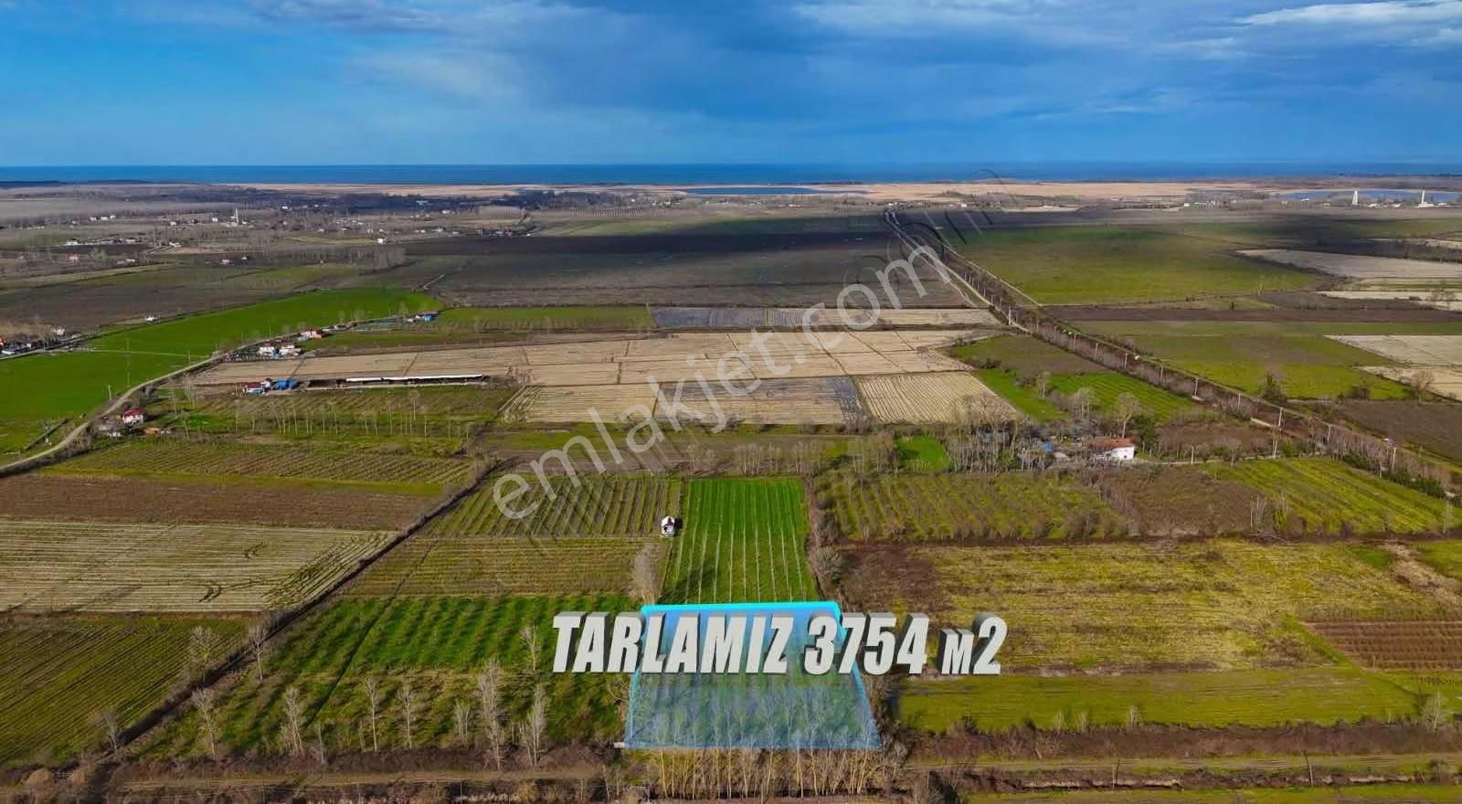 Öz-emmaxdan Terme İmanalisi Köyünde 3754 M2 Satılık Tarla - Görsel 5