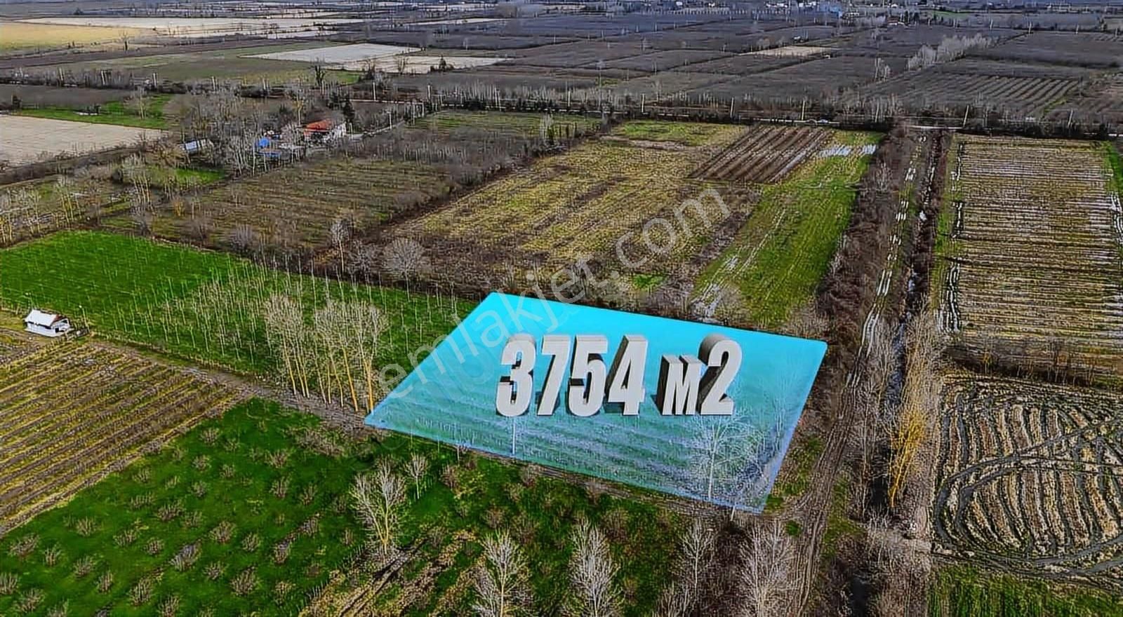 Öz-emmaxdan Terme İmanalisi Köyünde 3754 M2 Satılık Tarla - Görsel 3