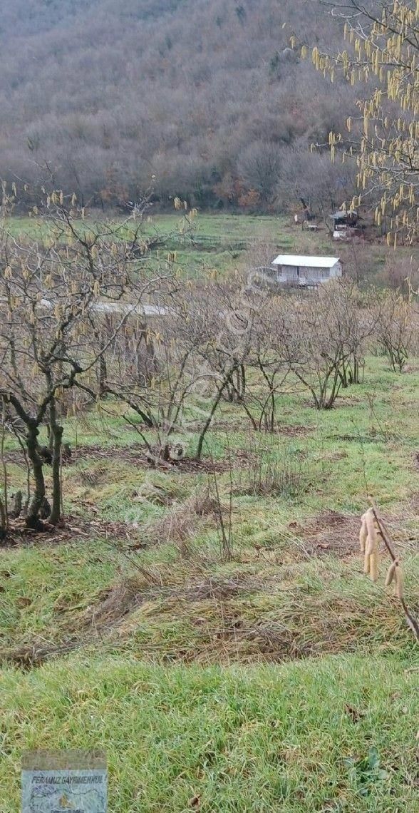Bursa/orhangazi-bayırköy Mah.de Satılık ( 20.624) M2. Anayola Cepheli Değerli Arazi. - Görsel 15