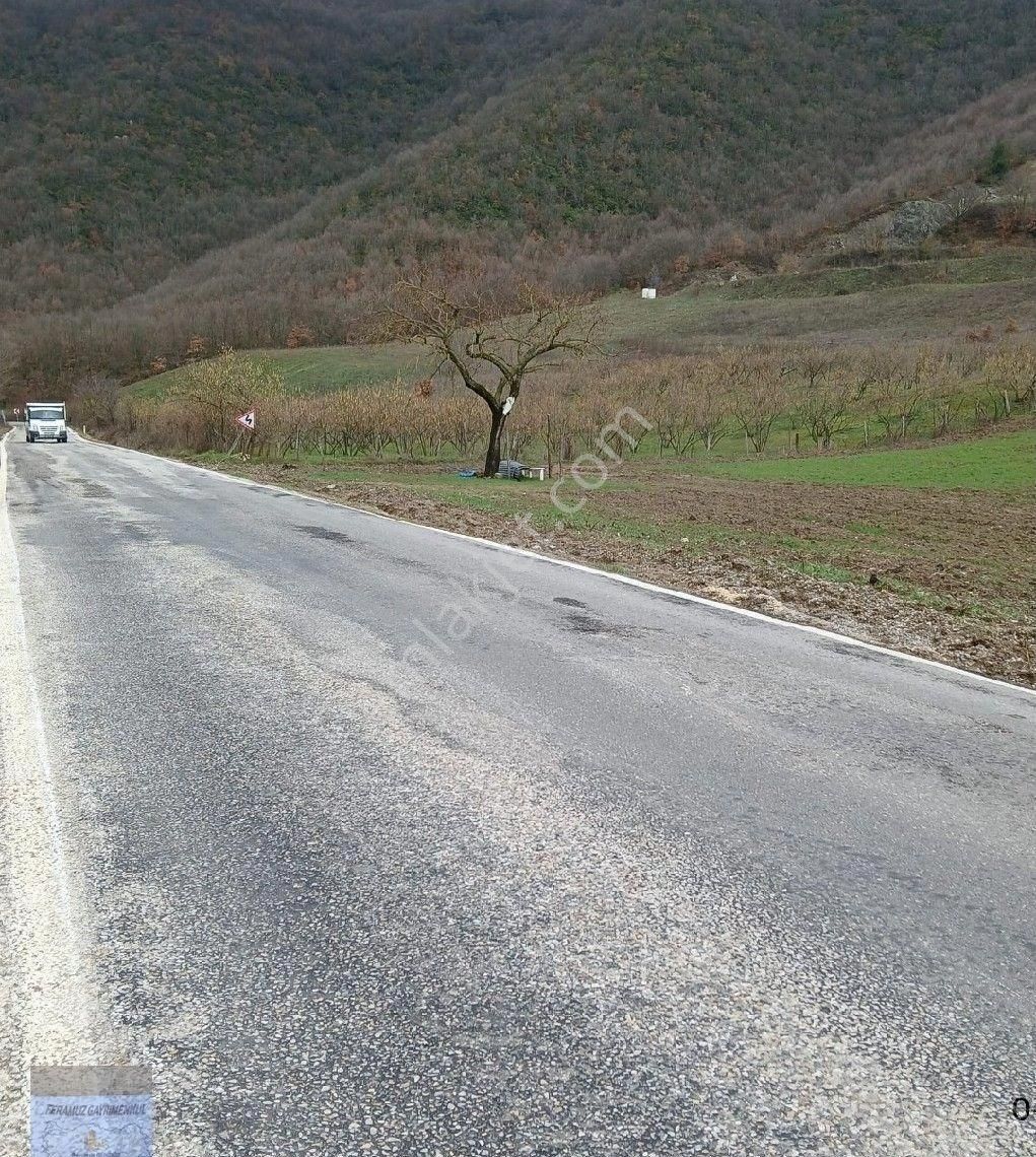 Bursa/orhangazi-bayırköy Mah.de Satılık ( 20.624) M2. Anayola Cepheli Değerli Arazi.