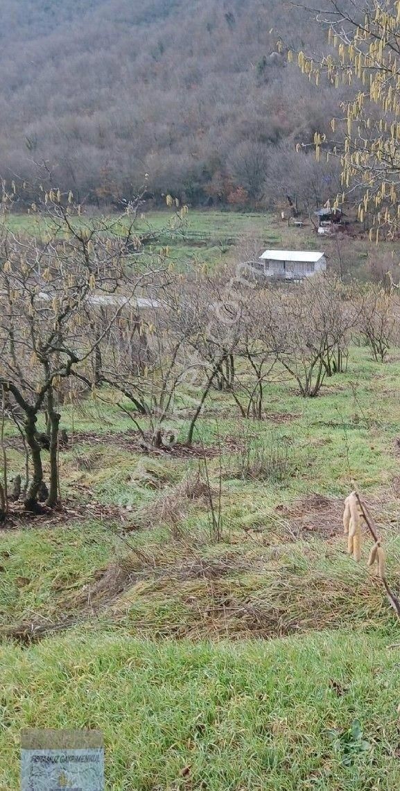 Bursa/orhangazi-bayırköy Mah.de Satılık ( 20.624) M2. Anayola Cepheli Değerli Arazi. - Görsel 9